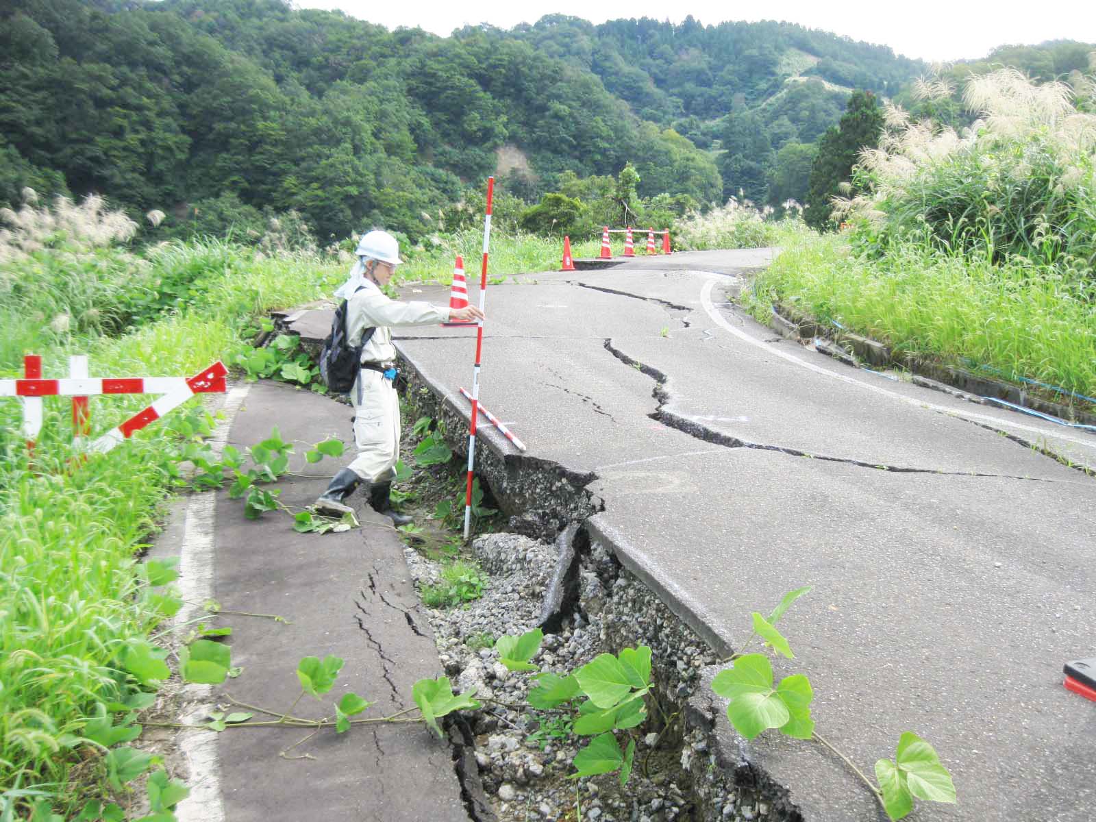 防災調査